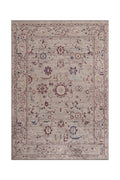Traditional area rug with a central floral medallion and an ornate border in soft neutral and muted red-blue colors.